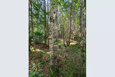 45/46D Duck Cove Road, Roque Bluffs, ME 04654 - Photo 9