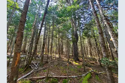 45/46D Duck Cove Road, Roque Bluffs, ME 04654 - Photo 19