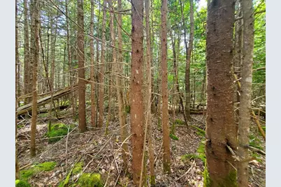 45/46D Duck Cove Road, Roque Bluffs, ME 04654 - Photo 11