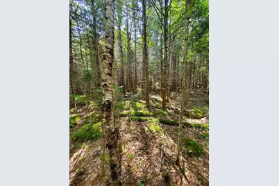 45/46D Duck Cove Road, Roque Bluffs, ME 04654 - Photo 13
