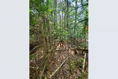 45/46D Duck Cove Road, Roque Bluffs, ME 04654 - Photo 21