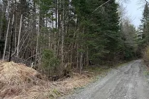 3 Brimstone Road Rd, Lagrange, ME 04453 - Photo 1