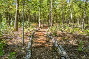 445 Big Bunker Hill Rd, Maxfield, ME 04453 - Photo 43