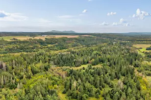 361 Easton Rd, Presque Isle, ME 04769 - Photo 89