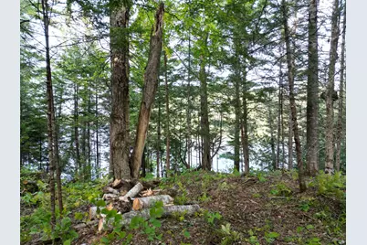 Lot 1 Off North Shore Road, Lake View Plantation, ME 04463 - Photo 9