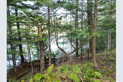 Lot 1 Off North Shore Road, Lake View Plantation, ME 04463 - Photo 11