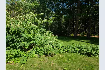 37 Mason Hill Road, Orrington, ME 04474 - Photo 7