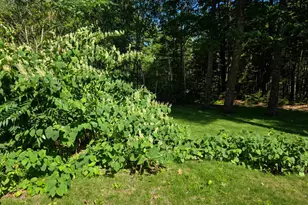 37 Mason Hill Rd, Orrington, ME 04474 - Photo 7