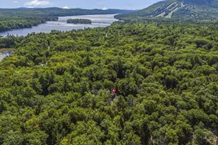 50 N Bay Rd, Bridgton, ME 04009 - Photo 45