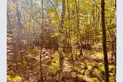 R06-31-C Bow Street, Otisfield, ME 04270 - Photo 3