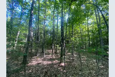 R9 32-9 Hiram Hill Road, Hiram, ME 04041 - Photo 5