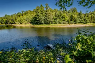593 Park St, Milo, ME 04463 - Photo 45
