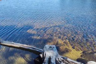 403 Turkey Tail Rd, T4 Indian Purchase Twp, ME 04462 - Photo 5