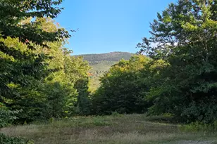 1155 Dickvale Rd, Peru, ME 04290 - Photo 1