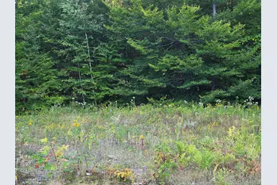 1155 Dickvale Road, Peru, ME 04290 - Photo 5