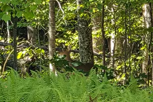 M547-137 Laurel Ln, Embden, ME 04958 - Photo 37