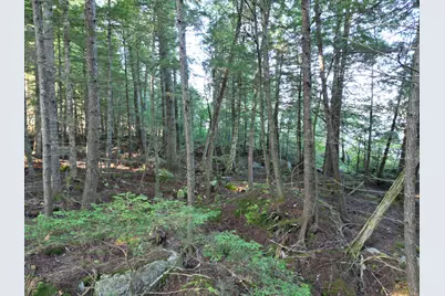 34 Merganser Lane, Lincoln, ME 04457 - Photo 15