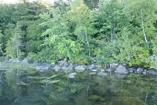 34 Merganser Ln, Lincoln, ME 04457 - Photo 1