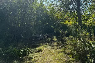 598 Quaker Hill Rd, Albion, ME 04910 - Photo 9