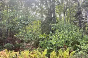 009 Morgan Bay Rd, Surry, ME 04684 - Photo 1