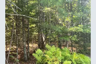009 Morgan Bay Road, Surry, ME 04684 - Photo 3