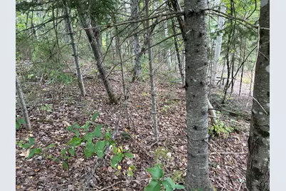 Map14Lot19 Macallister Cove Road, Orient, ME 04471 - Photo 7