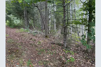 Map14Lot19 Macallister Cove Road, Orient, ME 04471 - Photo 5