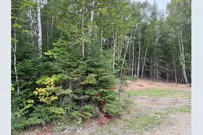 Map14Lot19 Macallister Cove Road, Orient, ME 04471 - Photo 3