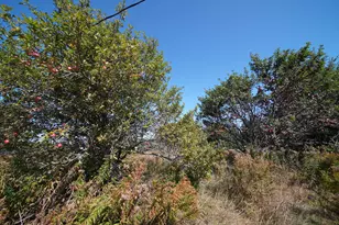 179 Hare Rd, Monticello, ME 04760 - Photo 35