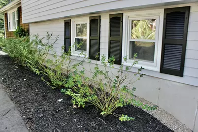 117 Quail Trail, Buxton, ME 04093 - Photo 5