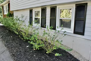 117 Quail Trail, Buxton, ME 04093 - Photo 5
