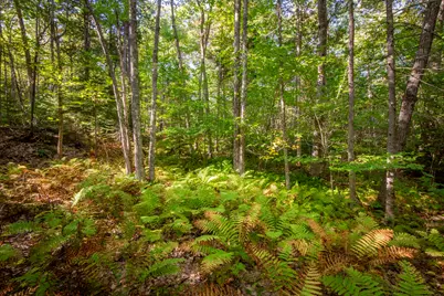 2030 Atlantic Highway, Lincolnville, ME 04849 - Photo 29
