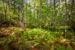 2030 Atlantic Hwy, Lincolnville, ME 04849 - Photo 29