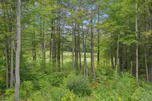 11 Ashwood Ln, Falmouth, ME 04105 - Photo 47