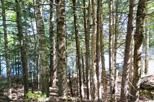 14 Snows Corner, Lincoln, ME 04457 - Photo 29