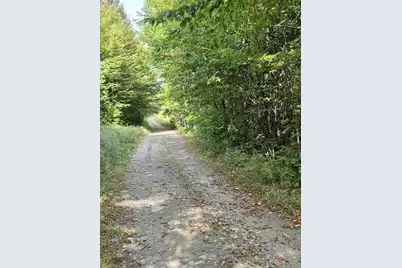 Lot 7 Morrison Brook Road, Oakfield, ME 04763 - Photo 17