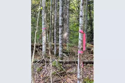 Lot 7 Morrison Brook Road, Oakfield, ME 04763 - Photo 27