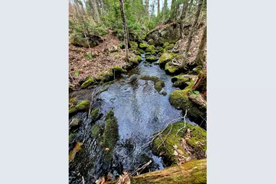 Lot 7 Morrison Brook Road, Oakfield, ME 04763 - Photo 3
