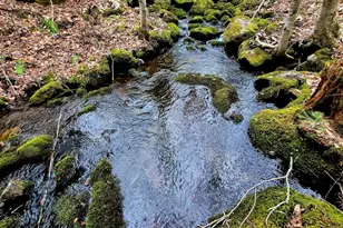 Lot 7 Morrison Brook Rd, Oakfield, ME 04763 - Photo 3