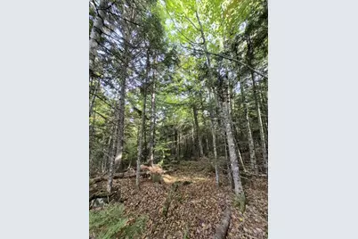 Lot 7 Morrison Brook Road, Oakfield, ME 04763 - Photo 21