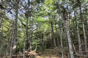 Lot 7 Morrison Brook Rd, Oakfield, ME 04763 - Photo 21