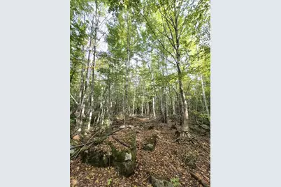 Lot 7 Morrison Brook Road, Oakfield, ME 04763 - Photo 19