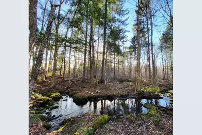 Lot 7 Morrison Brook Road, Oakfield, ME 04763 - Photo 25