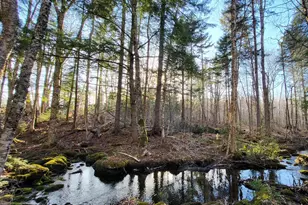 Lot 7 Morrison Brook Rd, Oakfield, ME 04763 - Photo 25