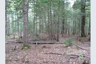 2B N Howland Road NW, Howland, ME 04448 - Photo 7