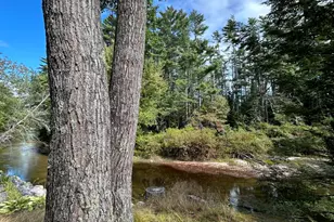 26 Dragon Back Rd, Naples, ME 04055 - Photo 17