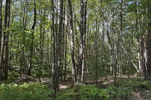 L 35-3 Jones Hill Rd, Appleton, ME 04862 - Photo 1