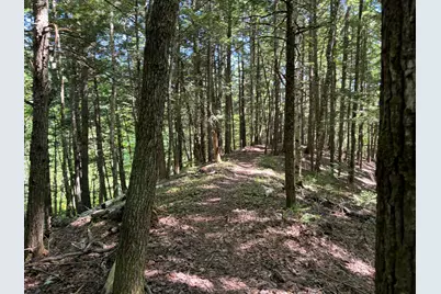 P/O M15L35 Covell Road, Fairfield, ME 04937 - Photo 33