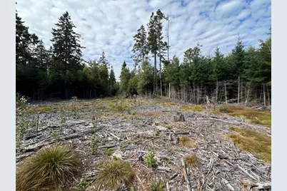 Lot #3 Pyne Cove Road, Steuben, ME 04680 - Photo 9