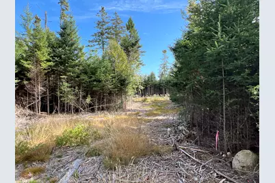 Lot #3 Pyne Cove Road, Steuben, ME 04680 - Photo 7